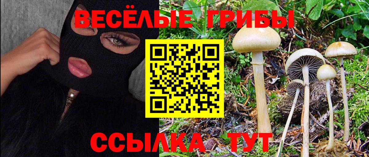 Галлюциногенные грибы прущие грибы  Псилоцибиновые грибы Psilocybe  Вход с VPN  Муром 