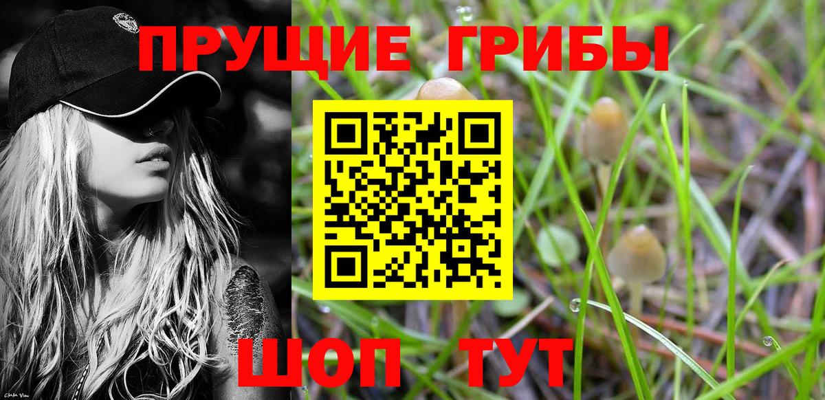 Галлюциногенные грибы Magic Shrooms Муром